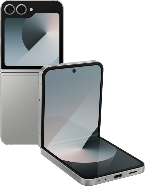 Galaxy Z Flip6 256 GB Silver Shadow